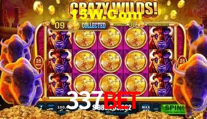 cassino 337bet