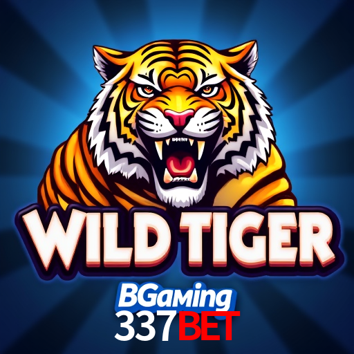 Apostas Esportivas na 337bet: Um Guia Completo